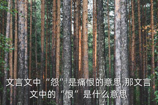 痛恨的意思,怨字解釋:小心謹慎慎重痛恨