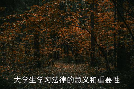 大學生學習法律的意義和重要性