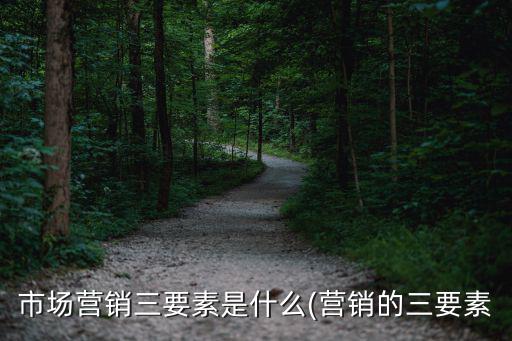 市場營銷三要素是什么(營銷的三要素