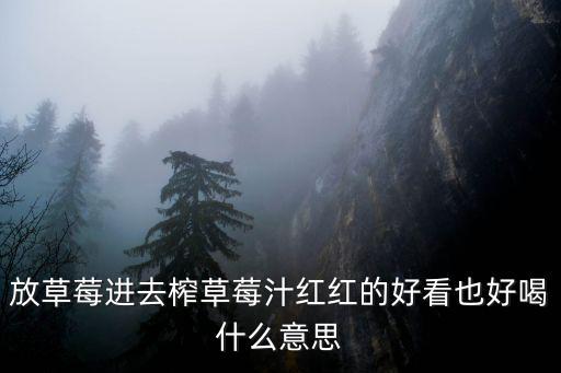 放草莓進去榨草莓汁紅紅的好看也好喝什么意思