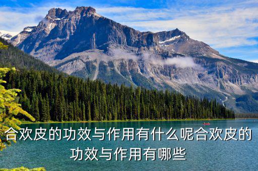 合歡皮的功效,關于合歡皮你必須知道的事情