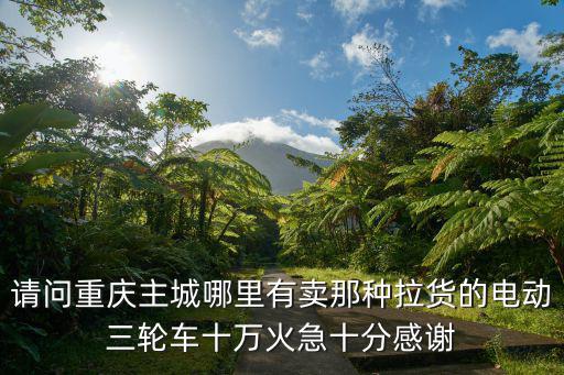 請問重慶主城哪里有賣那種拉貨的電動三輪車十萬火急十分感謝