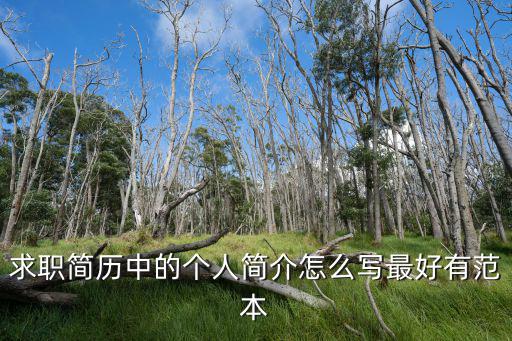 求職簡歷中的個人簡介怎么寫最好有范本