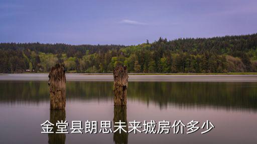 金堂縣朗思未來城房價多少