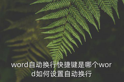 word自動(dòng)換行快捷鍵是哪個(gè)word如何設(shè)置自動(dòng)換行