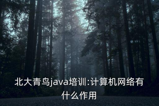 北大青鳥java培訓:計算機網絡有什么作用