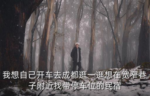 我想自己開車去成都逛一逛想在寬窄巷子附近找帶停車位的民宿