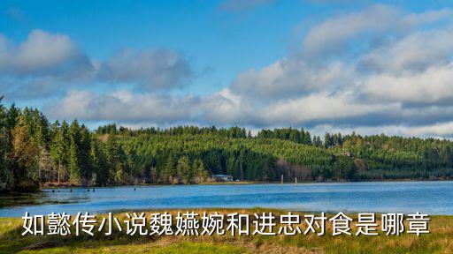 如懿傳小說魏嬿婉和進忠對食是哪章