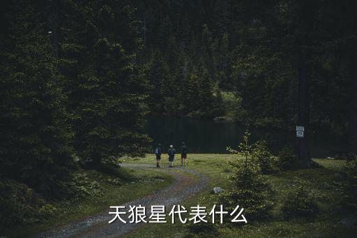 天狼星是什么星,天狼星是否是密近雙星與星座有關(guān)
