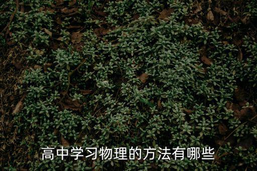 高中物理學(xué)習(xí)方法，高中物理有哪些好的學(xué)習(xí)方法