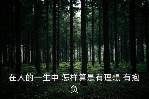 在人的一生中 怎樣算是有理想 有抱負