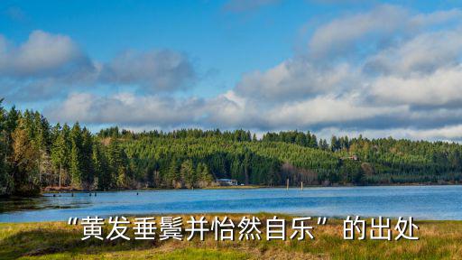 垂鬢,成語:黃發垂鬢黃發指什么?