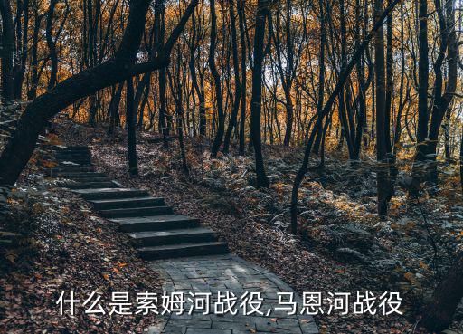 馬恩河戰役,德軍在索姆河戰役中傷亡過大再也沒發起進攻戰爭
