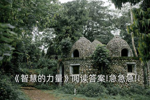 智慧的力量,智慧的力量第二集