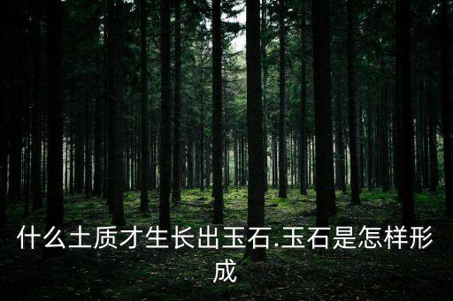 玉石是怎么形成的,玉石形成條件極其復雜人造玉石怎么做