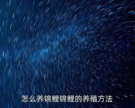 怎么養(yǎng)錦鯉錦鯉的養(yǎng)殖方法