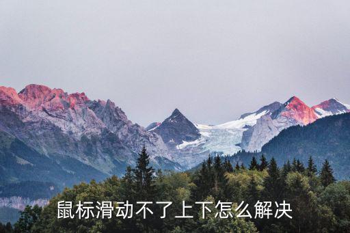 鼠標不能上下滾動,鼠標滾輪默認就是上下滾動不需再設置