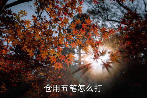 倉猝,倉字謎:倉皇、倉猝、倉黃、倒倉、倉