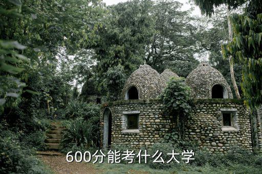 600分能上什么大學,天津大學600分能上什么大學?