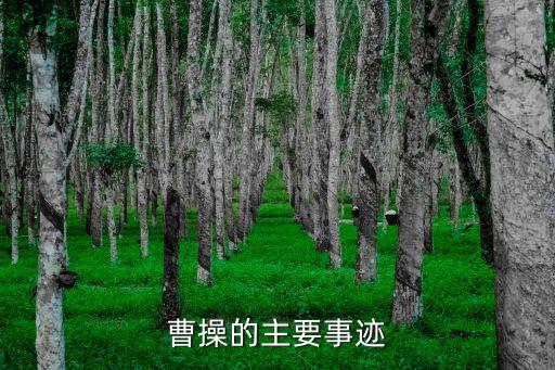 曹操的故事,曹操討伐張繡軍隊行軍速度太慢士兵暈倒路邊邊