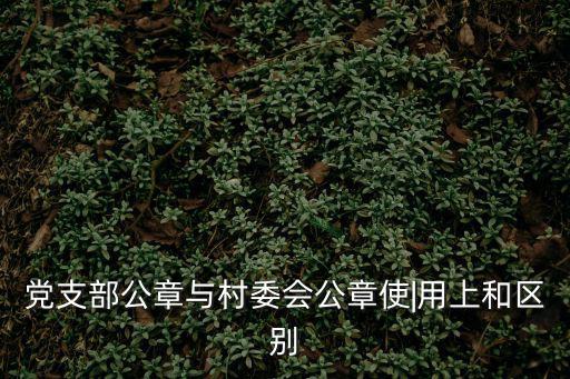 黨支部公章與村委會(huì)公章使|用上和區(qū)別