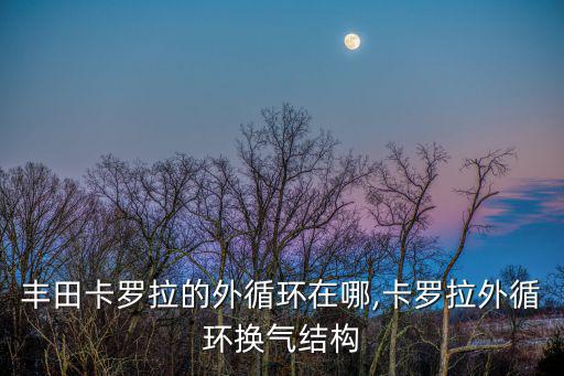 豐田卡羅拉的外循環在哪,卡羅拉外循環換氣結構