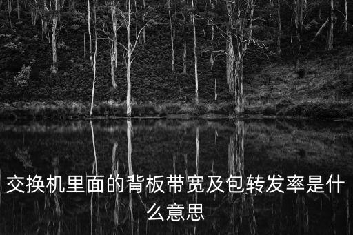 交換機里面的背板帶寬及包轉(zhuǎn)發(fā)率是什么意思