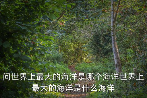 世界上最大的海是,問世界上最大的海洋是什么海洋答（13）