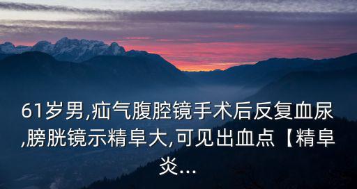 61歲男,疝氣腹腔鏡手術(shù)后反復(fù)血尿,膀胱鏡示精阜大,可見(jiàn)出血點(diǎn)【精阜炎...