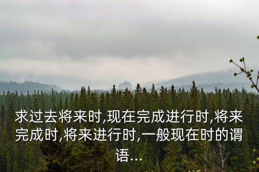 求過去將來時,現在完成進行時,將來完成時,將來進行時,一般現在時的謂語...