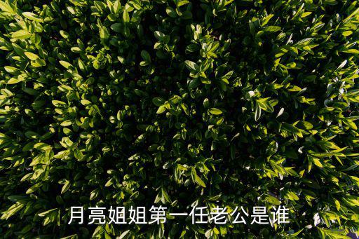 央視六一晚會,掌廚2020年春晚月亮姐姐王楊東升今年很神秘