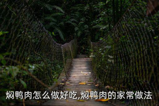 燜鴨肉怎么做好吃,燜鴨肉的家常做法