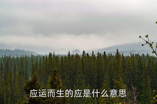 應運而生的近義詞,應運而生裝修行業趨勢