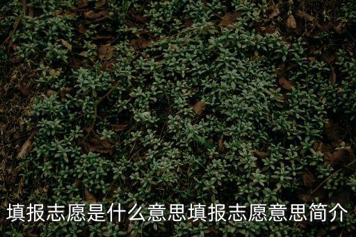 志愿是什么意思,填報志愿意思:高考錄取前的一個項目