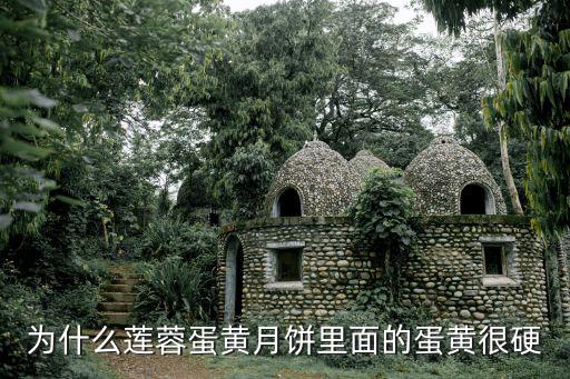 蛋黃蓮蓉月餅,怎么做蓮蓉蛋黃月餅?