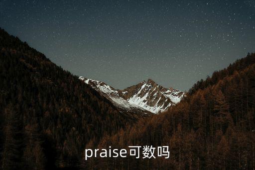 praise可數嗎