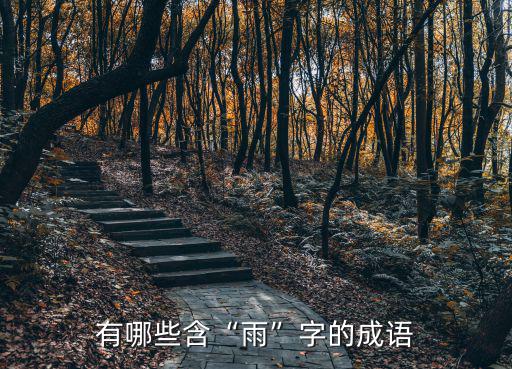 有哪些含“雨”字的成語(yǔ)