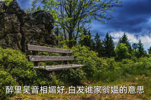 醉里吳音相媚好,白發誰家翁媼的意思
