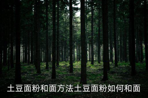 土豆面粉和面方法土豆面粉如何和面