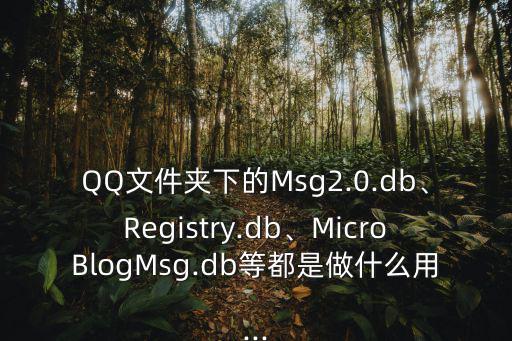 QQ文件夾下的Msg2.0.db、Registry.db、MicroBlogMsg.db等都是做什么用...
