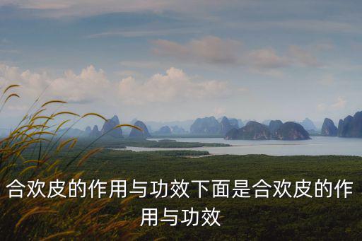 合歡皮的作用與功效下面是合歡皮的作用與功效