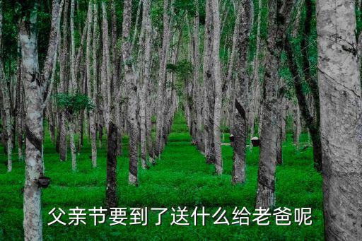 父親節要到了送什么給老爸呢