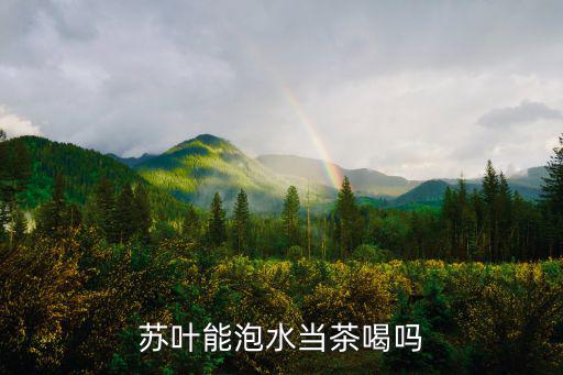 紫蘇茶,紫蘇葉泡水喝對身體有什么作用?
