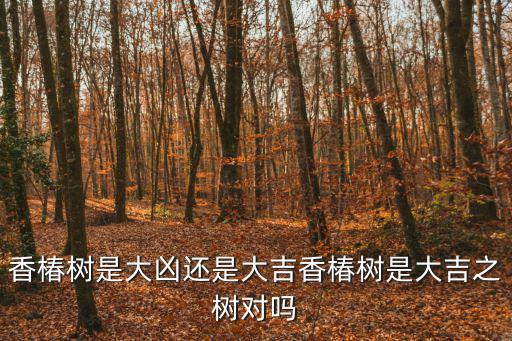 香椿樹是大兇還是大吉香椿樹是大吉之樹對嗎
