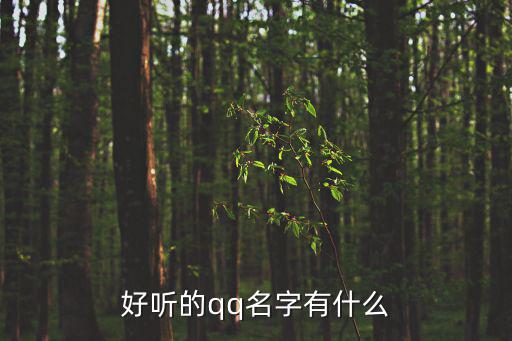 qq名稱簡單好聽,好聽英文名字禁忌不好聽的qq名
