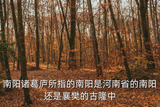 南陽諸葛廬所指的南陽是河南省的南陽還是襄樊的古隆中