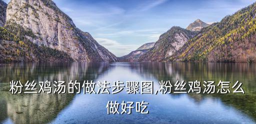 粉絲雞湯的做法步驟圖,粉絲雞湯怎么做好吃