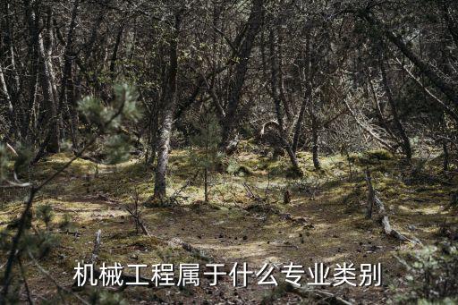 機械工程屬于什么專業類別