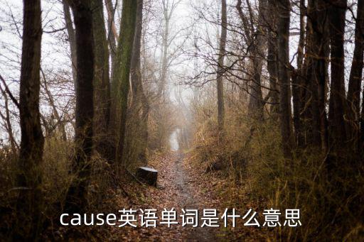 cause英語單詞是什么意思