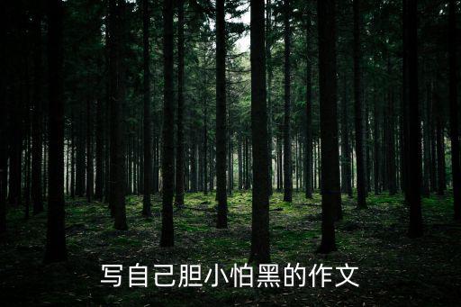 寫自己膽小怕黑的作文